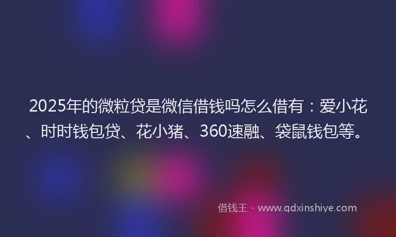 2025年的微粒贷是微信借钱吗怎么借有：爱小花、时时钱包贷、花小猪、360速融、袋鼠钱包等。