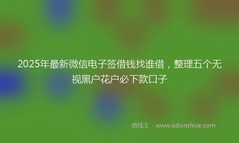 2025年最新微信电子签借钱找谁借，整理五个无视黑户花户必下款口子