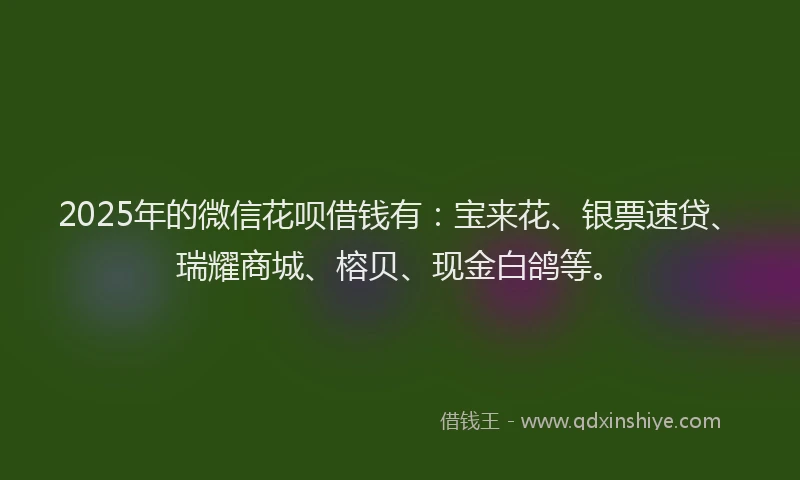 2025年的微信花呗借钱有：宝来花、银票速贷、瑞耀商城、榕贝、现金白鸽等。