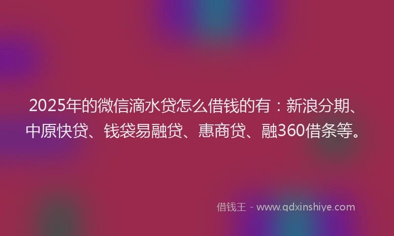 2025年的微信滴水贷怎么借钱的有：新浪分期、中原快贷、钱袋易融贷、惠商贷、融360借条等。