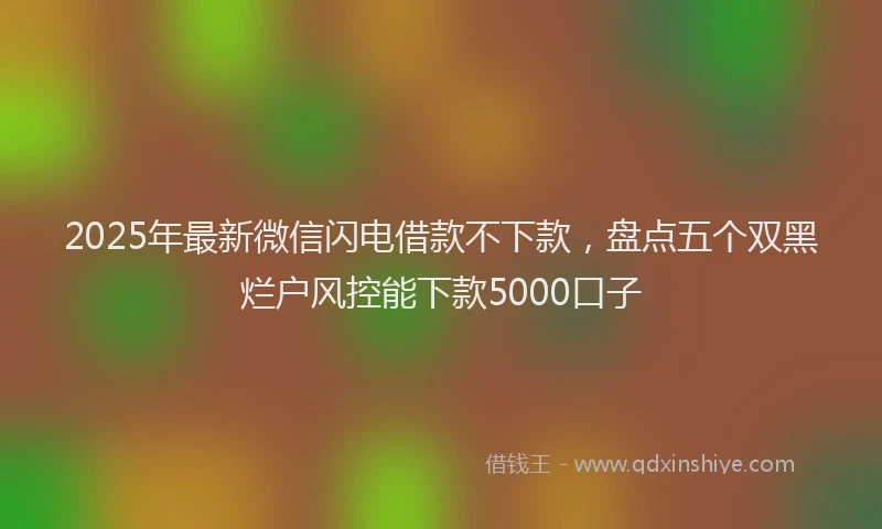 2025年最新微信闪电借款不下款，盘点五个双黑烂户风控能下款5000口子