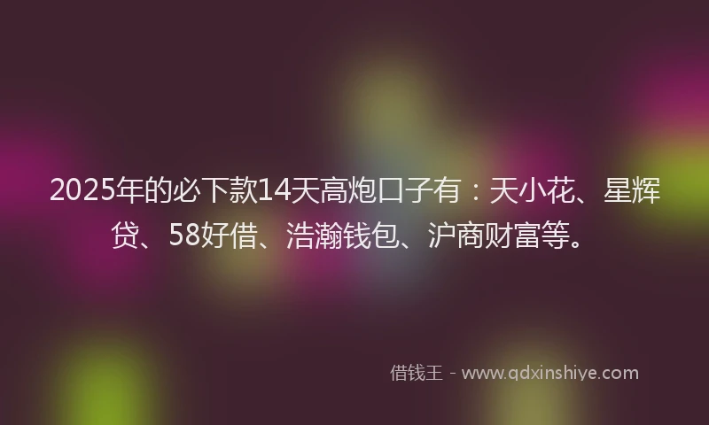 2025年的必下款14天高炮口子有：天小花、星辉贷、58好借、浩瀚钱包、沪商财富等。