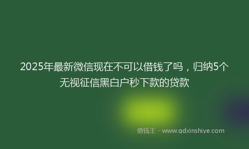 2025年最新微信现在不可以借钱了吗，归纳5个无视征信黑白户秒下款的贷款