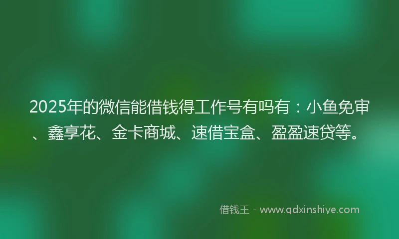 2025年的微信能借钱得工作号有吗有：小鱼免审、鑫享花、金卡商城、速借宝盒、盈盈速贷等。
