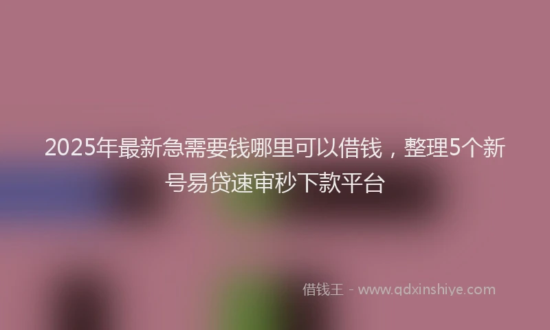 2025年最新急需要钱哪里可以借钱，整理5个新号易贷速审秒下款平台