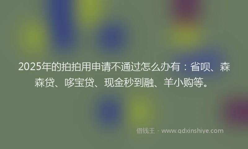 2025年的拍拍用申请不通过怎么办有：省呗、森森贷、哆宝贷、现金秒到融、羊小购等。