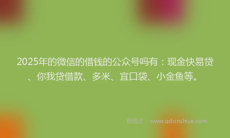 2025年的微信的借钱的公众号吗有：现金快易贷、你我贷借款、多米、宜口袋、小金鱼等。