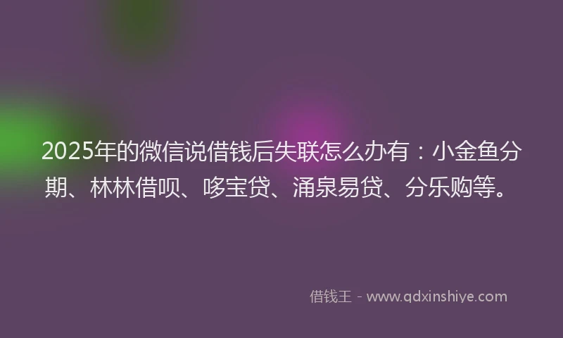 2025年的微信说借钱后失联怎么办有：小金鱼分期、林林借呗、哆宝贷、涌泉易贷、分乐购等。