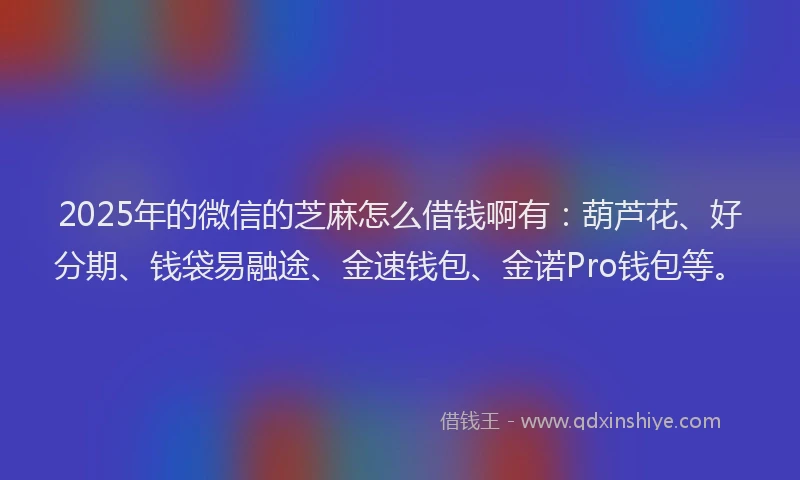 2025年的微信的芝麻怎么借钱啊有：葫芦花、好分期、钱袋易融途、金速钱包、金诺Pro钱包等。