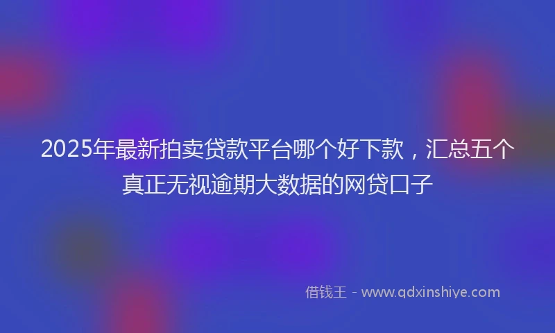 2025年最新拍卖贷款平台哪个好下款，汇总五个真正无视逾期大数据的网贷口子