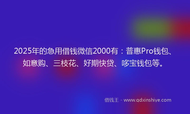 2025年的急用借钱微信2000有：普惠Pro钱包、如意购、三枝花、好期快贷、哆宝钱包等。