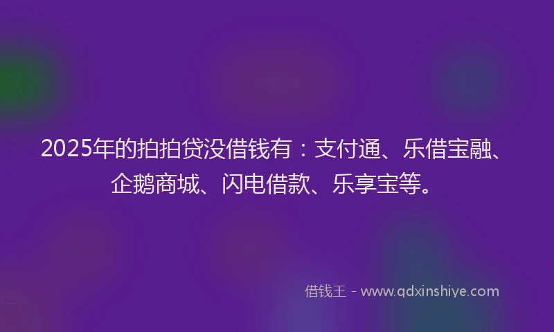 2025年的拍拍贷没借钱有：支付通、乐借宝融、企鹅商城、闪电借款、乐享宝等。
