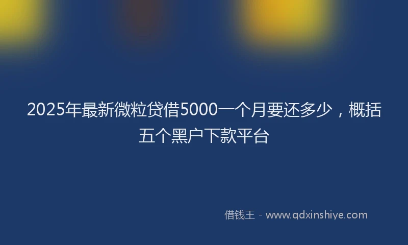 2025年最新微粒贷借5000一个月要还多少，概括五个黑户下款平台