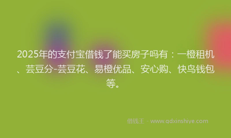 2025年的支付宝借钱了能买房子吗有：一橙租机、芸豆分-芸豆花、易橙优品、安心购、快鸟钱包等。