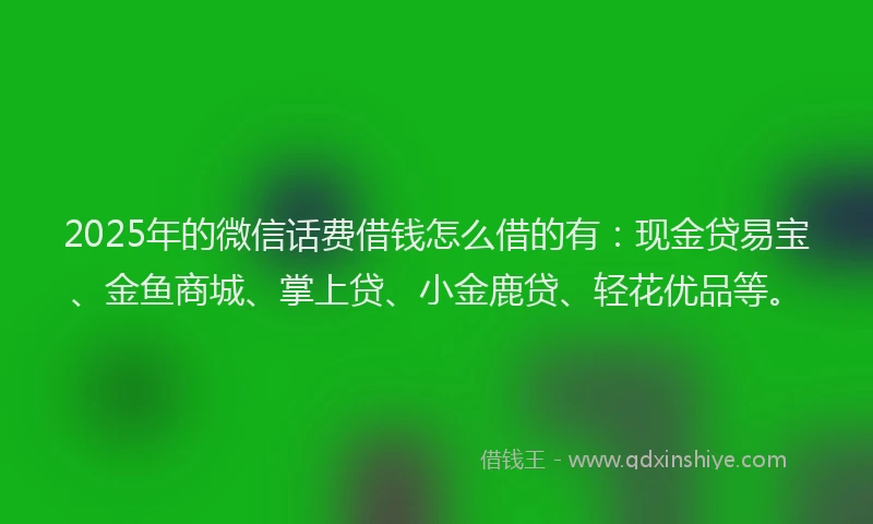 2025年的微信话费借钱怎么借的有：现金贷易宝、金鱼商城、掌上贷、小金鹿贷、轻花优品等。