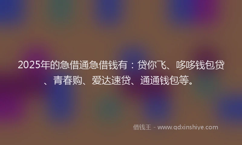 2025年的急借通急借钱有：贷你飞、哆哆钱包贷、青春购、爱达速贷、通通钱包等。