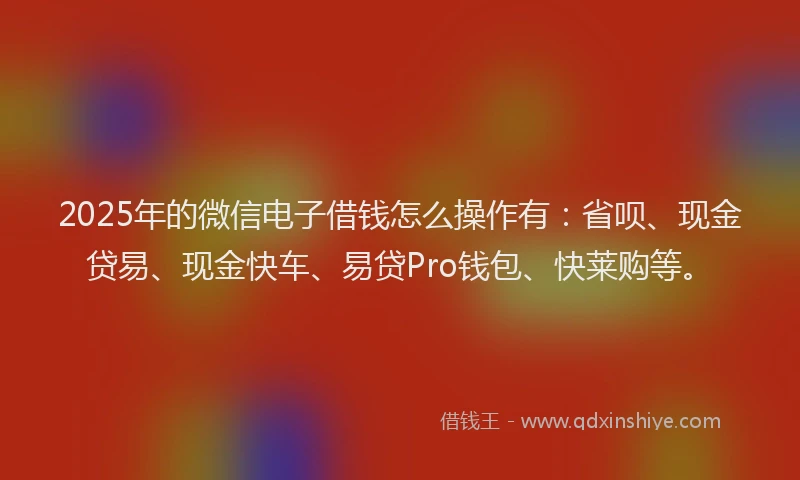 2025年的微信电子借钱怎么操作有：省呗、现金贷易、现金快车、易贷Pro钱包、快莱购等。