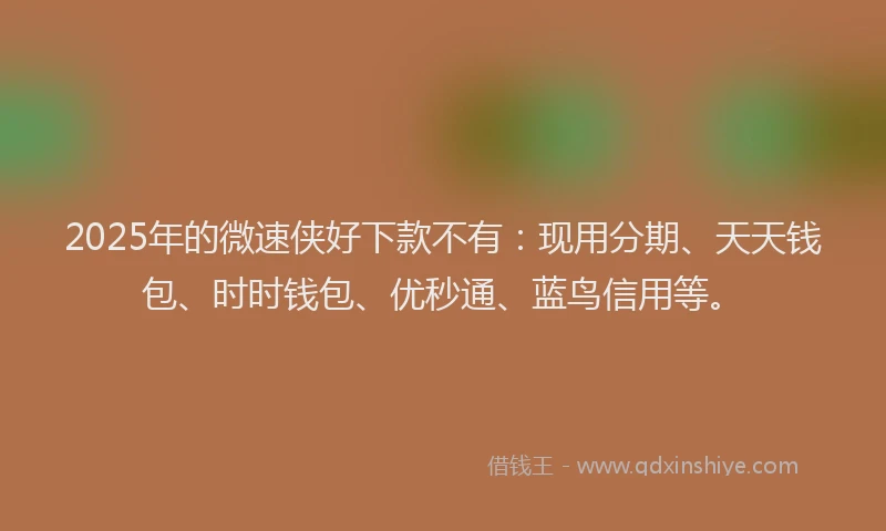 2025年的微速侠好下款不有：现用分期、天天钱包、时时钱包、优秒通、蓝鸟信用等。