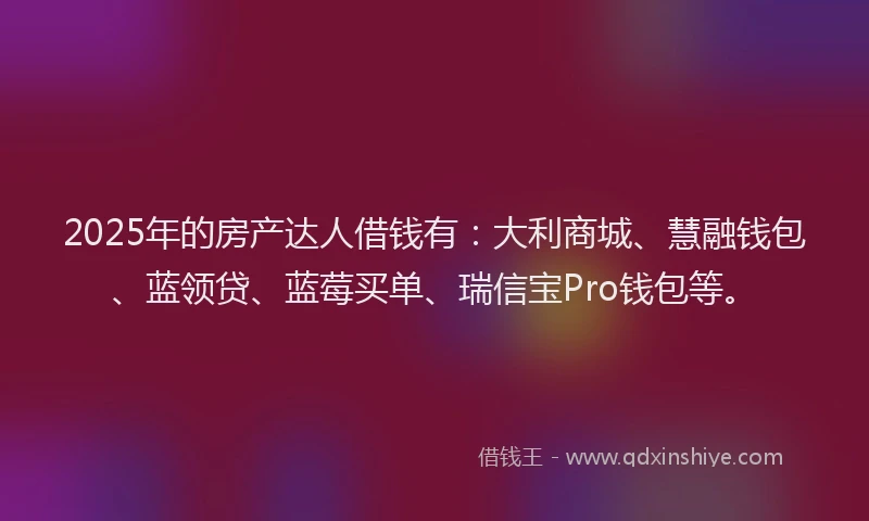 2025年的房产达人借钱有：大利商城、慧融钱包、蓝领贷、蓝莓买单、瑞信宝Pro钱包等。