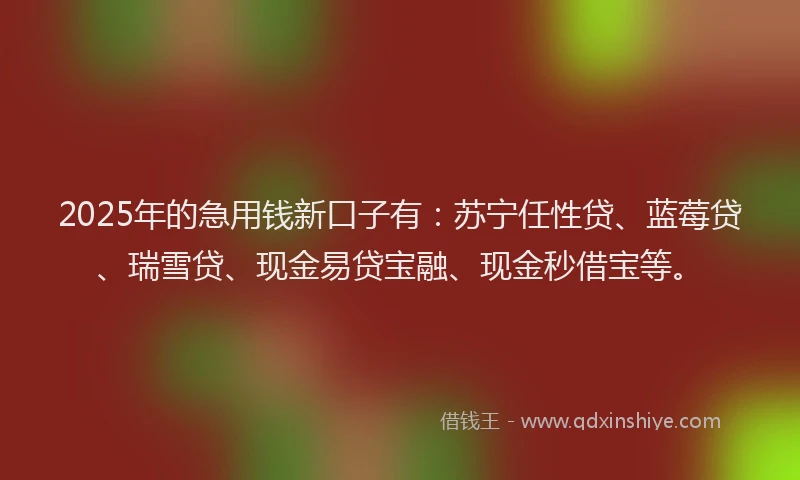 2025年的急用钱新口子有：苏宁任性贷、蓝莓贷、瑞雪贷、现金易贷宝融、现金秒借宝等。
