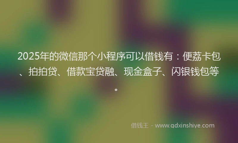 2025年的微信那个小程序可以借钱有：便荔卡包、拍拍贷、借款宝贷融、现金盒子、闪银钱包等。