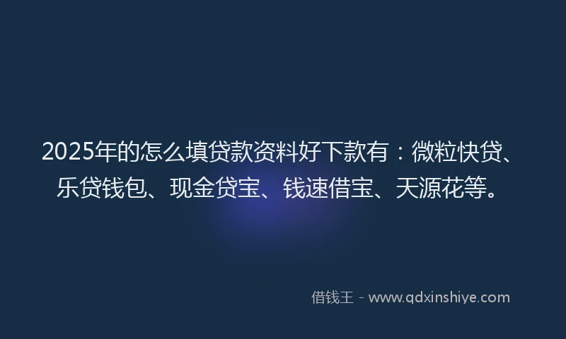 2025年的怎么填贷款资料好下款有：微粒快贷、乐贷钱包、现金贷宝、钱速借宝、天源花等。
