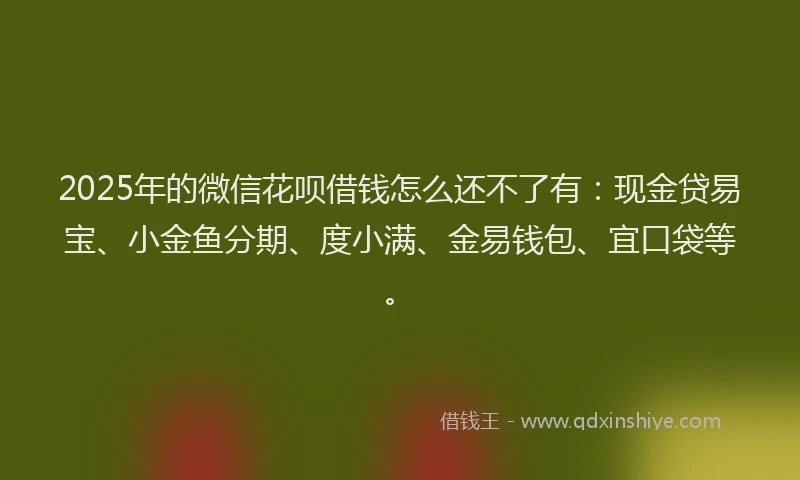 2025年的微信花呗借钱怎么还不了有：现金贷易宝、小金鱼分期、度小满、金易钱包、宜口袋等。