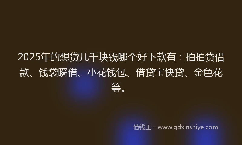 2025年的想贷几千块钱哪个好下款有：拍拍贷借款、钱袋瞬借、小花钱包、借贷宝快贷、金色花等。