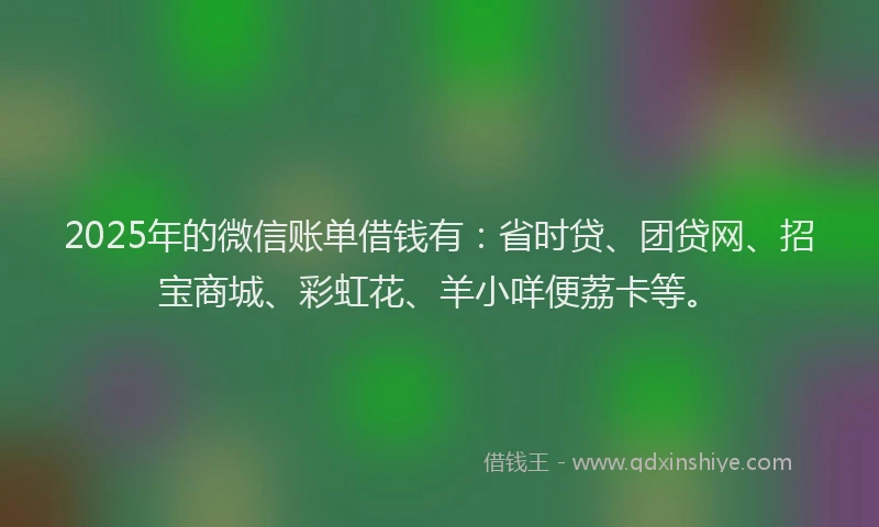 2025年的微信账单借钱有：省时贷、团贷网、招宝商城、彩虹花、羊小咩便荔卡等。