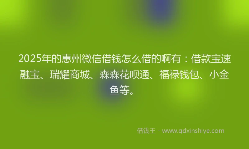 2025年的惠州微信借钱怎么借的啊有：借款宝速融宝、瑞耀商城、森森花呗通、福禄钱包、小金鱼等。