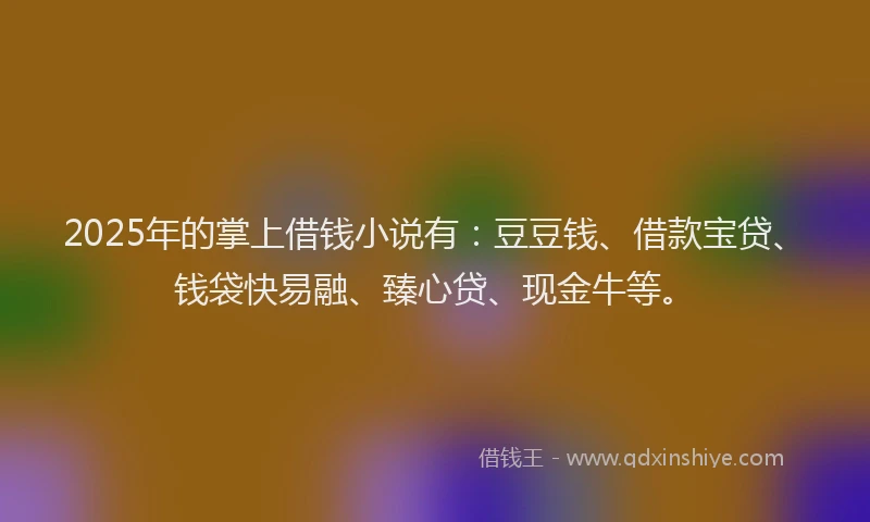 2025年的掌上借钱小说有：豆豆钱、借款宝贷、钱袋快易融、臻心贷、现金牛等。
