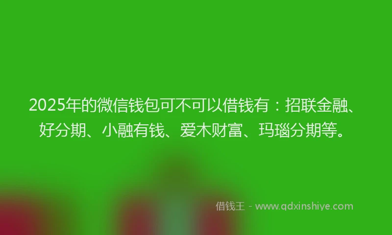 2025年的微信钱包可不可以借钱有：招联金融、好分期、小融有钱、爱木财富、玛瑙分期等。