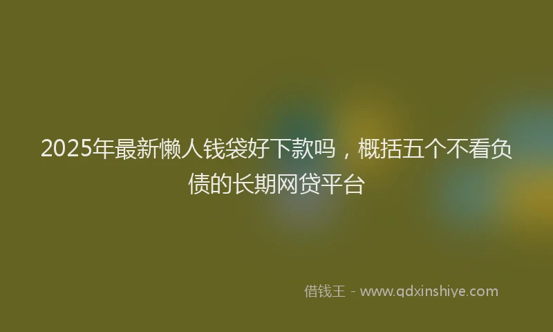 2025年最新懒人钱袋好下款吗，概括五个不看负债的长期网贷平台