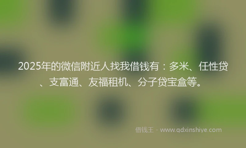 2025年的微信附近人找我借钱有：多米、任性贷、支富通、友福租机、分子贷宝盒等。