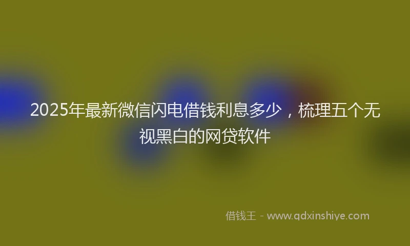 2025年最新微信闪电借钱利息多少，梳理五个无视黑白的网贷软件