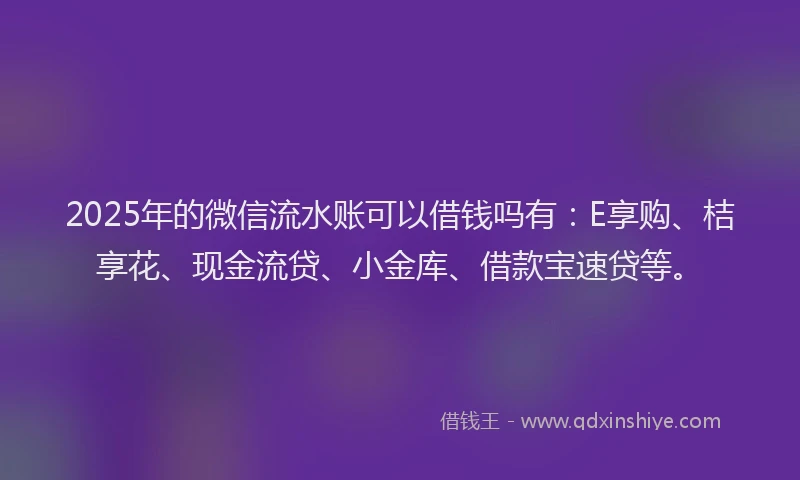 2025年的微信流水账可以借钱吗有：E享购、桔享花、现金流贷、小金库、借款宝速贷等。