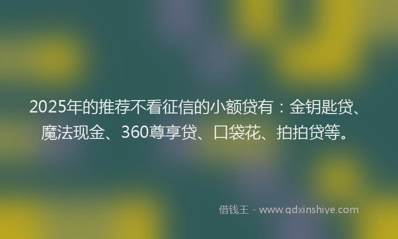 2025年的推荐不看征信的小额贷有：金钥匙贷、魔法现金、360尊享贷、口袋花、拍拍贷等。