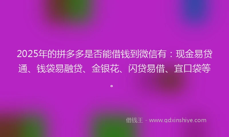 2025年的拼多多是否能借钱到微信有：现金易贷通、钱袋易融贷、金银花、闪贷易借、宜口袋等。