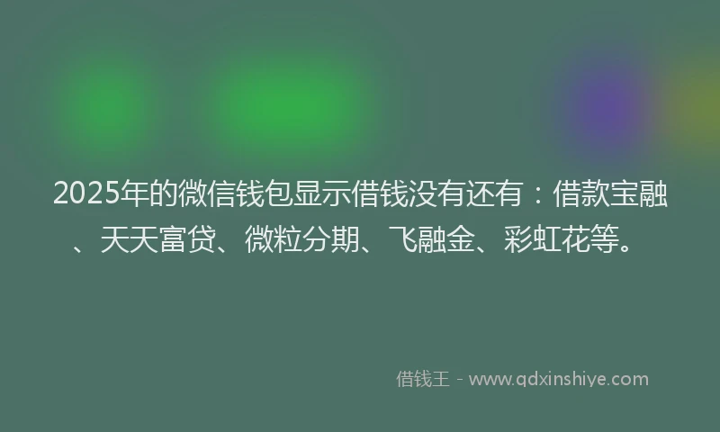 2025年的微信钱包显示借钱没有还有：借款宝融、天天富贷、微粒分期、飞融金、彩虹花等。
