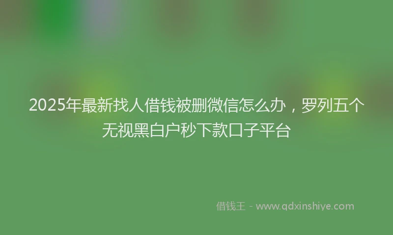2025年最新找人借钱被删微信怎么办，罗列五个无视黑白户秒下款口子平台