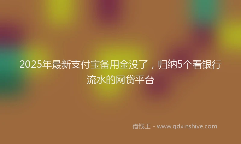 2025年最新支付宝备用金没了，归纳5个看银行流水的网贷平台