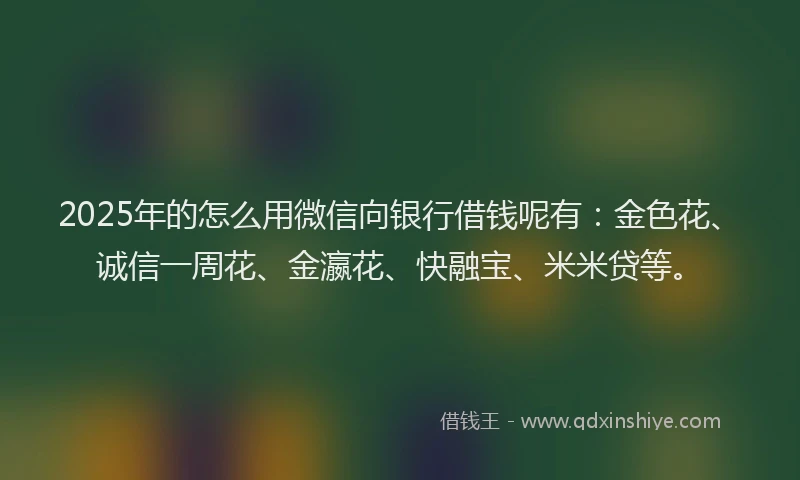 2025年的怎么用微信向银行借钱呢有:金色花、诚信一周花、金瀛花、快融宝、米米贷等。