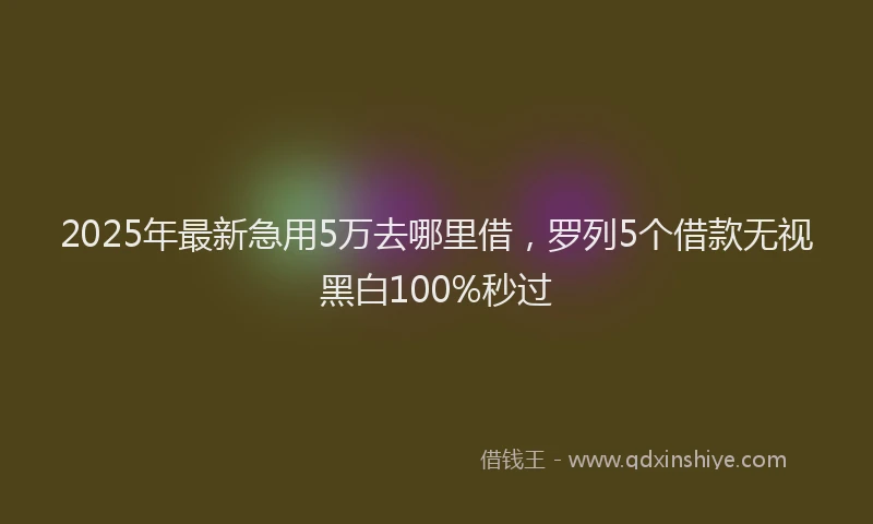 2025年最新急用5万去哪里借，罗列5个借款无视黑白100%秒过