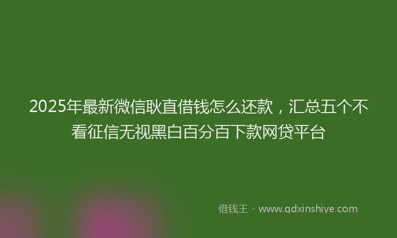 2025年最新微信耿直借钱怎么还款，汇总五个不看征信无视黑白百分百下款网贷平台