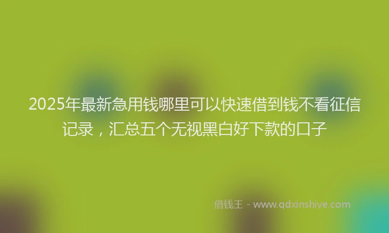 2025年最新急用钱哪里可以快速借到钱不看征信记录，汇总五个无视黑白好下款的口子