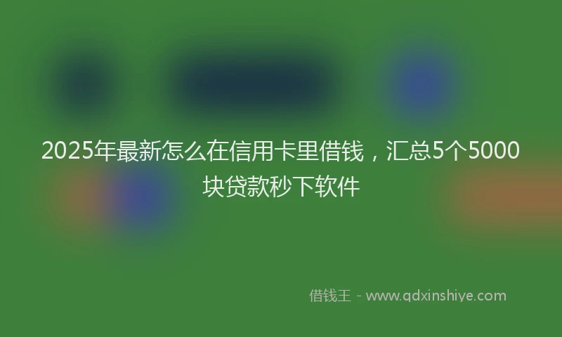 2025年最新怎么在信用卡里借钱，汇总5个5000块贷款秒下软件
