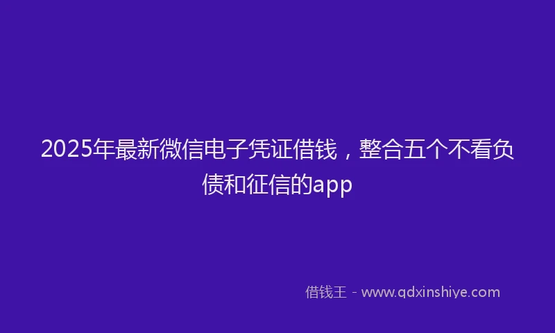 2025年最新微信电子凭证借钱，整合五个不看负债和征信的app