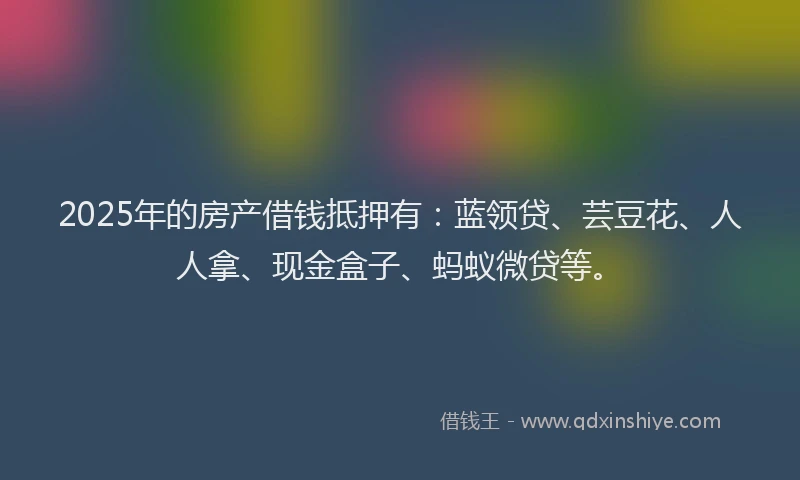 2025年的房产借钱抵押有：蓝领贷、芸豆花、人人拿、现金盒子、蚂蚁微贷等。