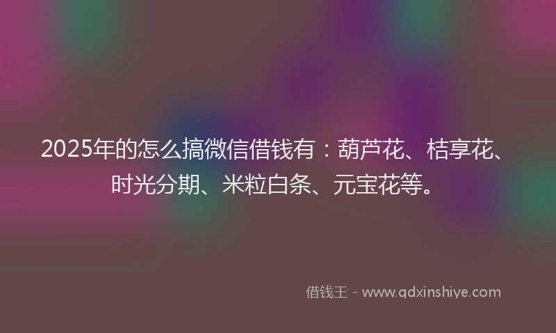 2025年的怎么搞微信借钱有：葫芦花、桔享花、时光分期、米粒白条、元宝花等。