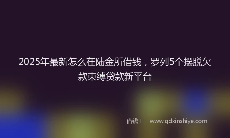 2025年最新怎么在陆金所借钱，罗列5个摆脱欠款束缚贷款新平台